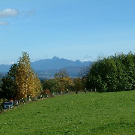 Gaestehaus Alpina Bad Kohlgrub Exteriör bild