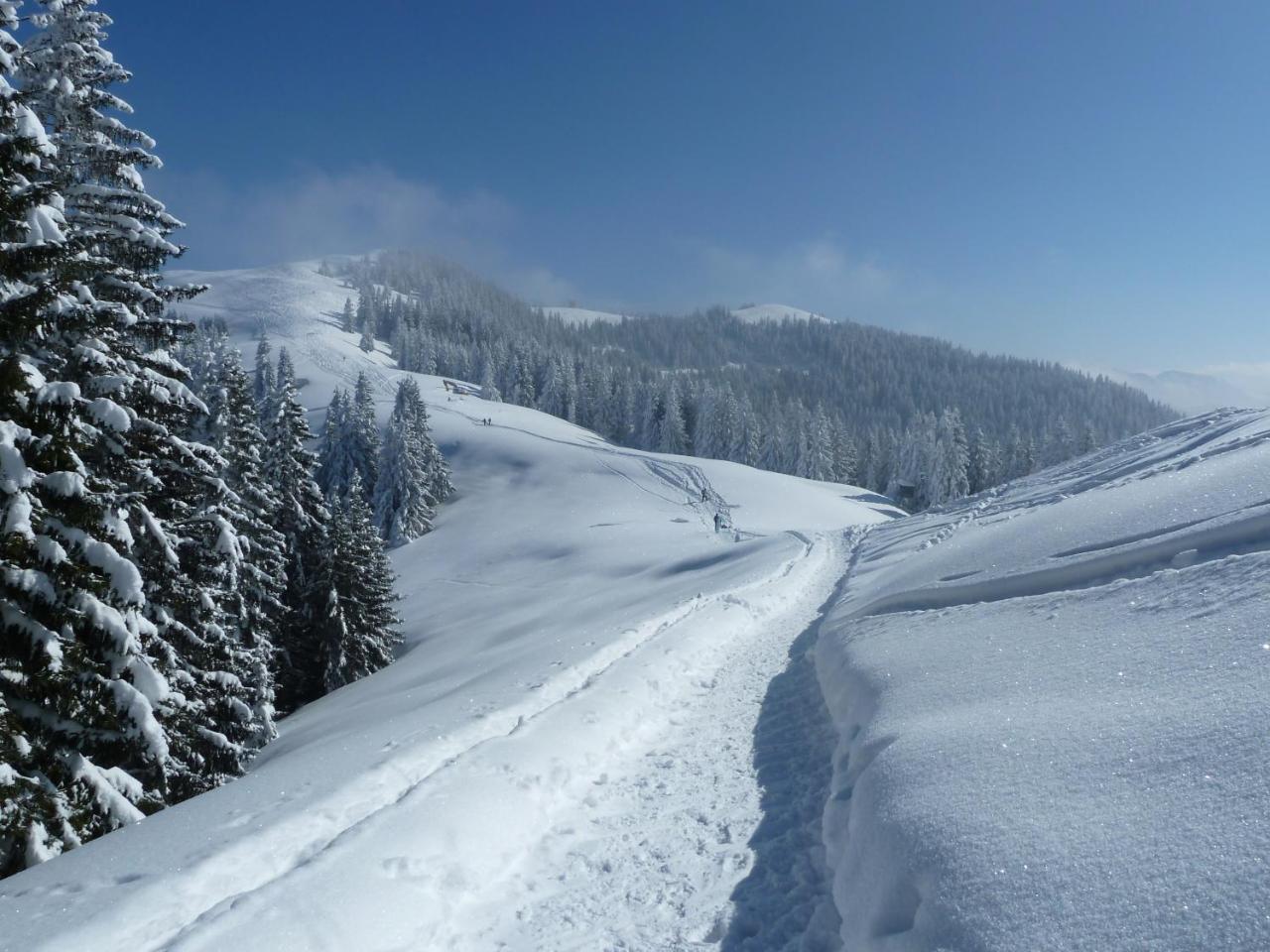Gaestehaus Alpina Bad Kohlgrub Exteriör bild